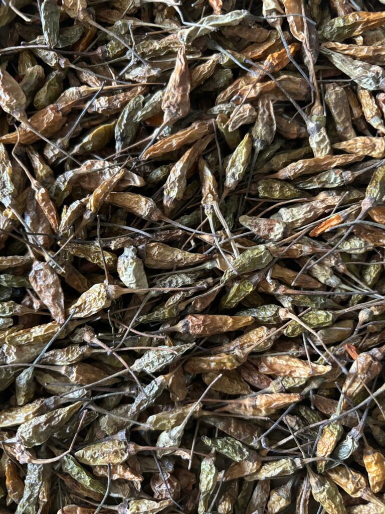 Piments pili pili de Madagascar