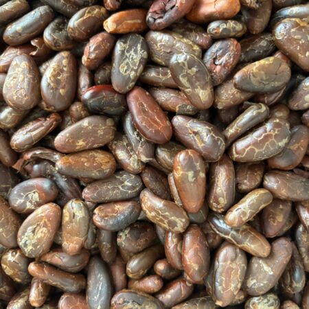 fèves de cacao